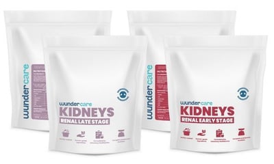 Kidneys Renal Late and Early