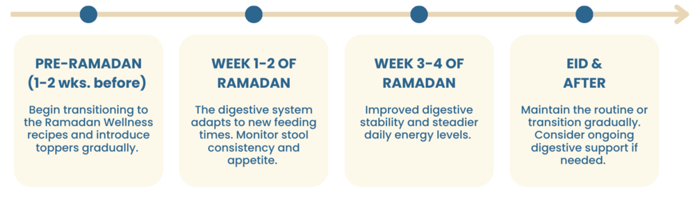 dog-ramadan-wellness-feeding-timeline-uae-1-1