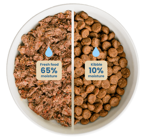 fresh-dog-food-vs-kibble-moisture-comparison-wunderdog-uae-1