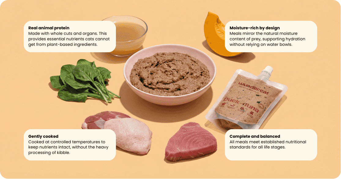 Bowl of Wundercat food with raw ingredients including spinach, duck, tuna, pumpkin and broth, highlighting real protein, moisture-rich meals, gentle cooking, and complete nutrition.