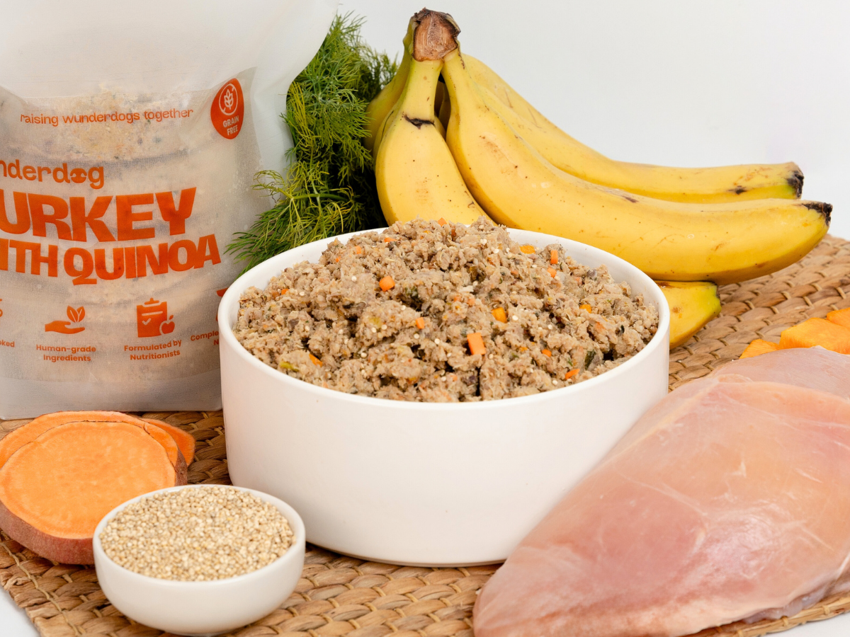 Wunderdog Turkey with Quinoa fresh gently cooked dog food in a white bowl with raw turkey breast, quinoa, sweet potato slices, herbs, and bananas on a woven mat.