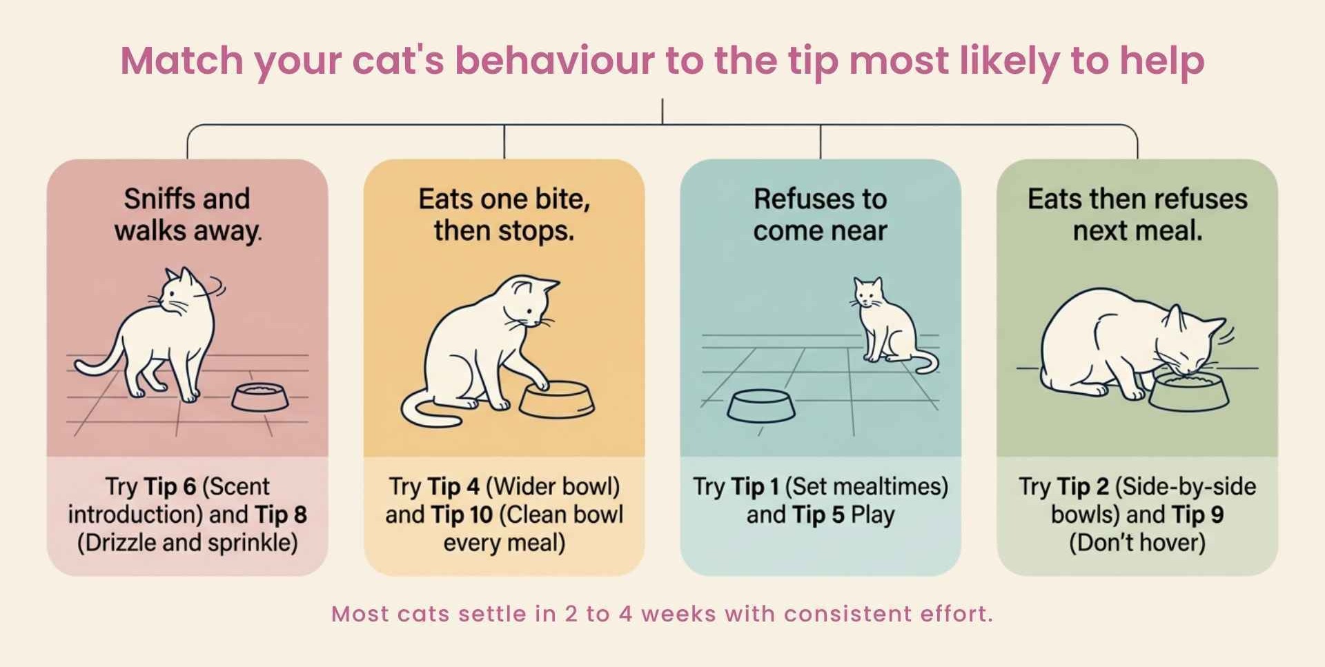 Match your cat's behaviour to the tip most likely to help