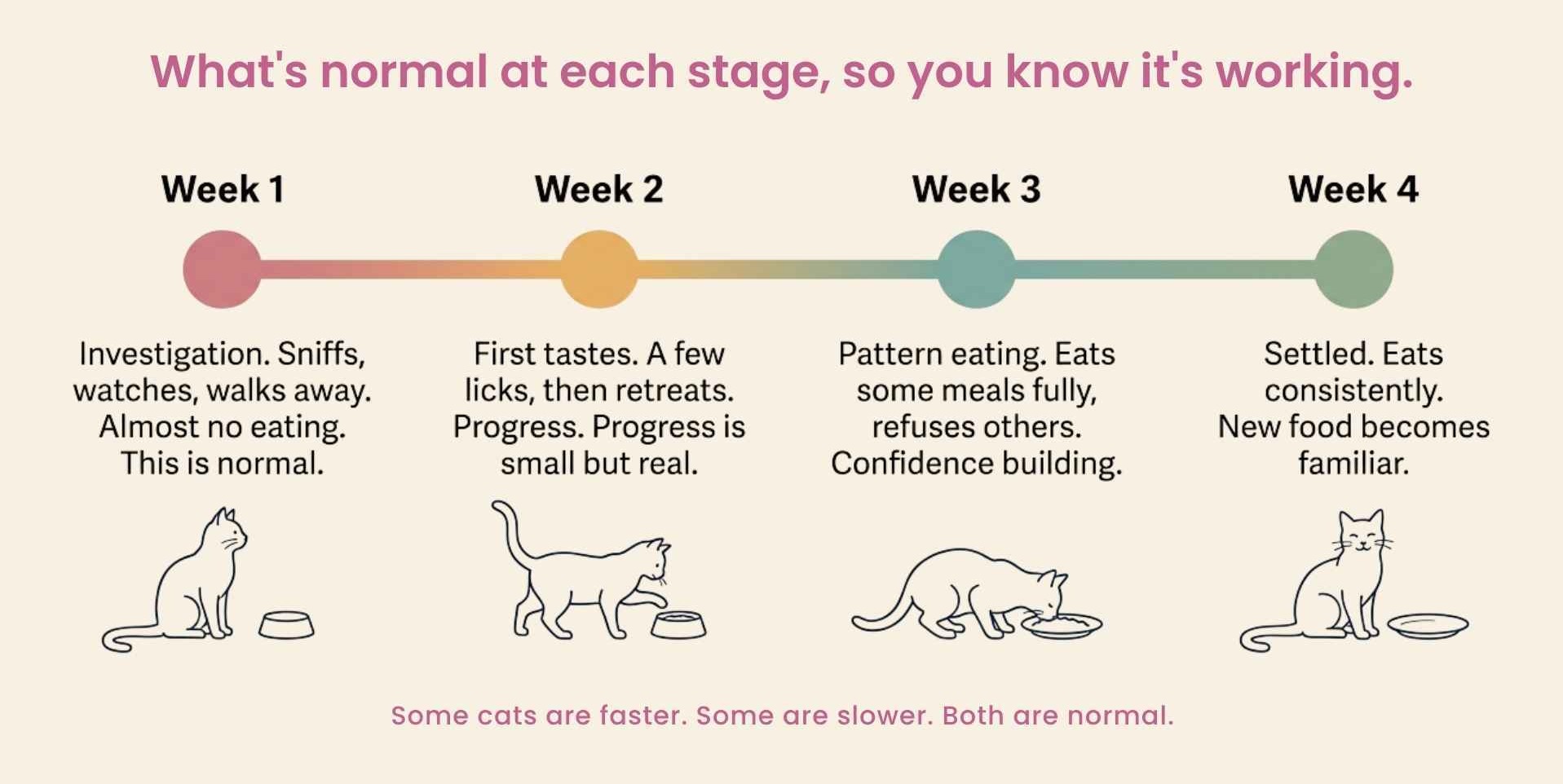 A typical transition takes 2 to 4 weeks. What's normal at each stage.